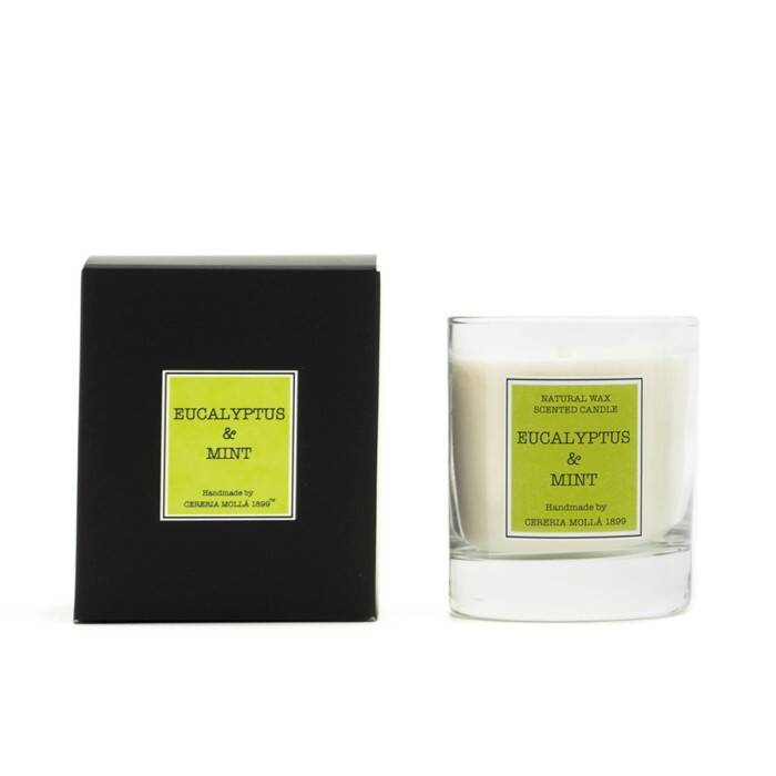 Cereria Molla - Świeca Santiago 230gr. Eucalyptus & Mint