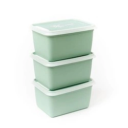 Amuse -  pojemniki do zamrażarki Alaska BIO 3x1L