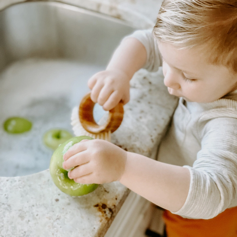 Full Circle - Szczotka do mycia warzyw The Ring