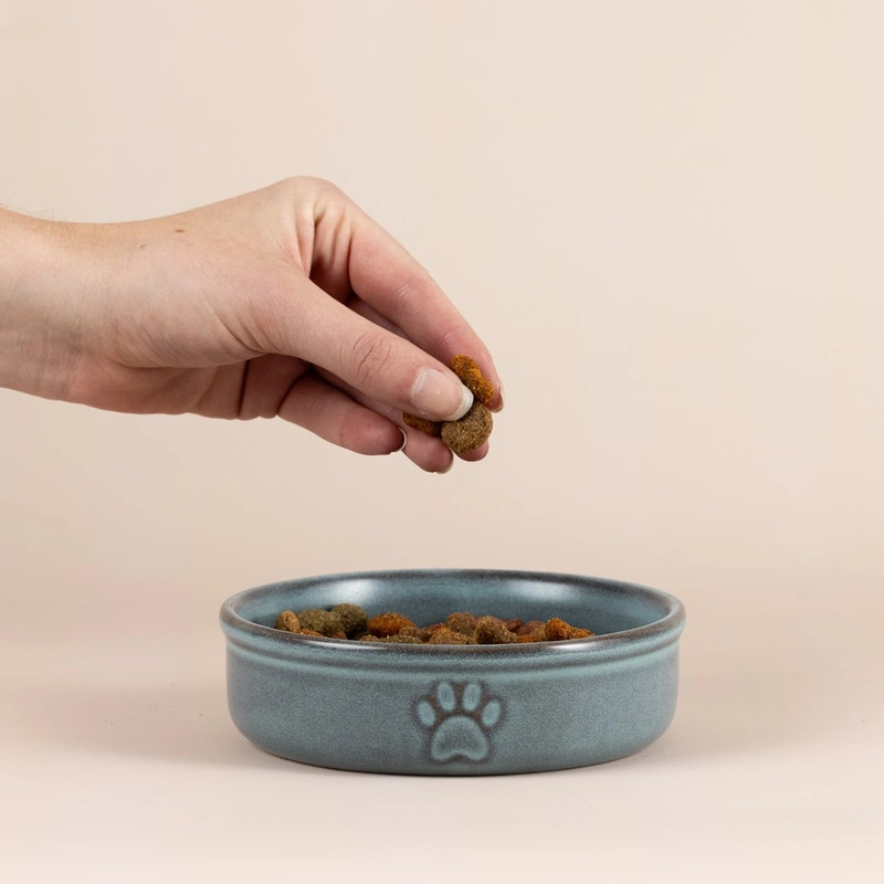 Mason Cash - Miska dla zwierzaka 13cm Reactive Paw