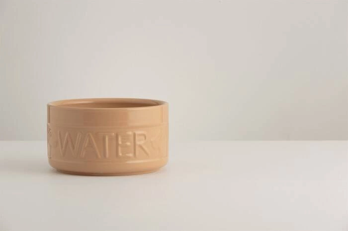 Mason Cash - Miska na wodę dla zwierzaka 15 cm, Lettered