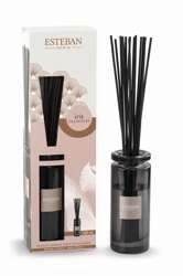 Esteban - Dyfuzor zapachowy 100ml Iris Cachemire