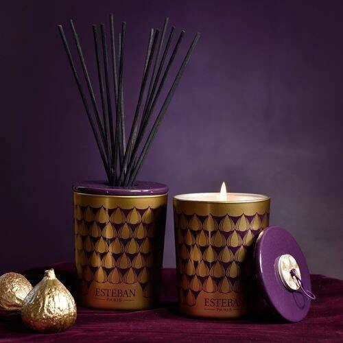 Esteban - Dyfuzor zapachowy dekoracyjny 100ml Figue Noire