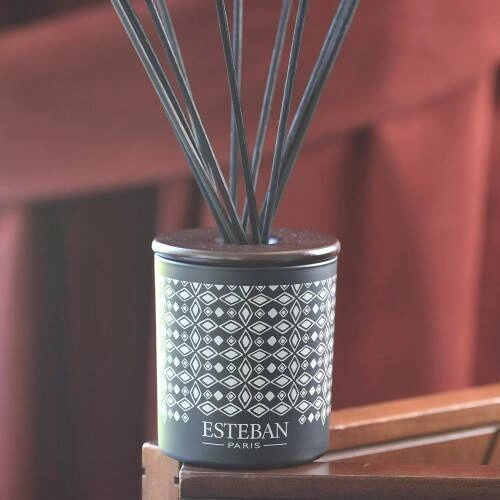 Esteban - Dyfuzor zapach. dekor. 100ml Teck and Tonka