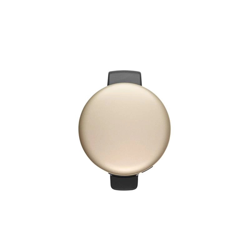 Brabantia - Kosz pedałowy 5L NewIcon Szampański