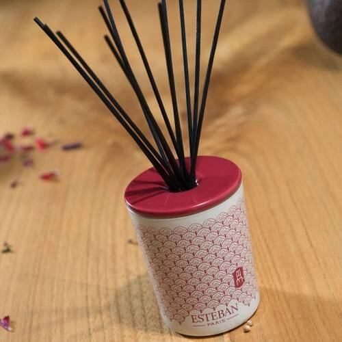 Esteban - Dyfuzor zapach. dekoracyjny 100ml Esprit de The