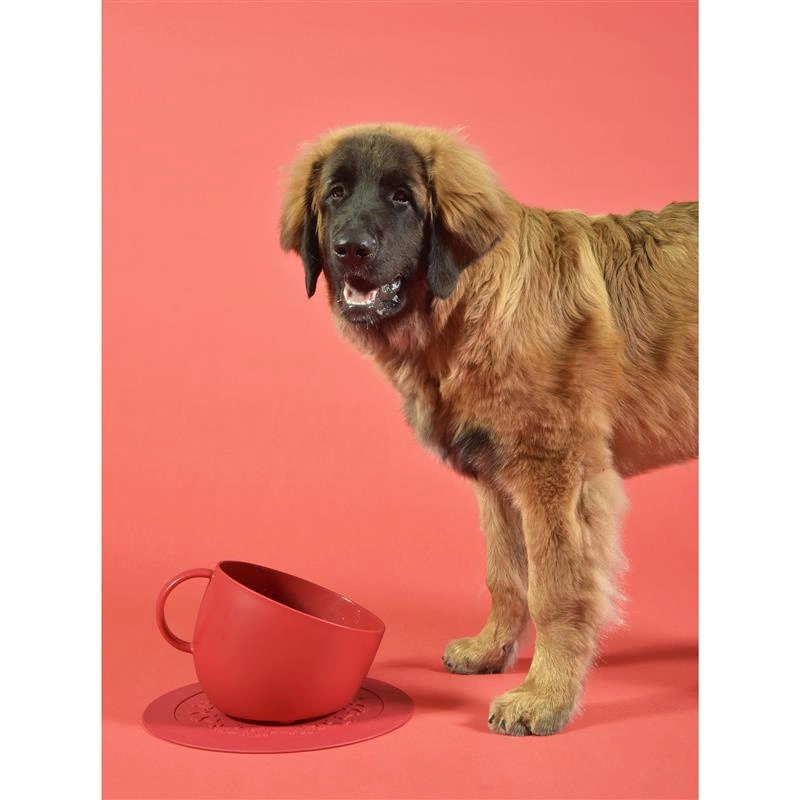 United Pets - Miska dla psa CUP, 2500 ml, czerwona