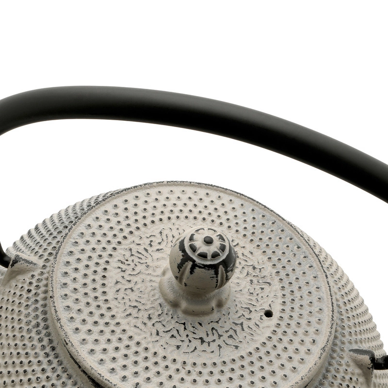 Bredemeijer - Dzbanek żeliwny JANG 1.1L szary