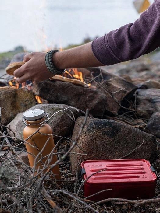 SIGG - Pudełko na żywność Plus S Red 8697.20