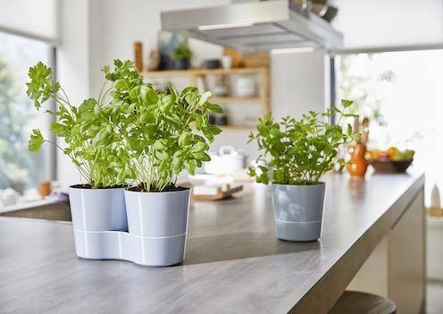 Mepal - Doniczka na zioła podwójna Hydro Herb Nordic Green