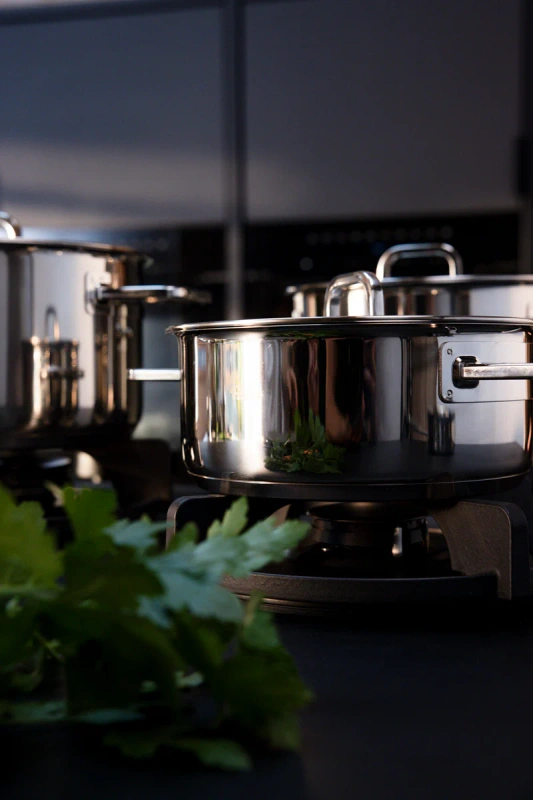 Fissler - Garnek niski 2,4l. 20cm Viseo pro