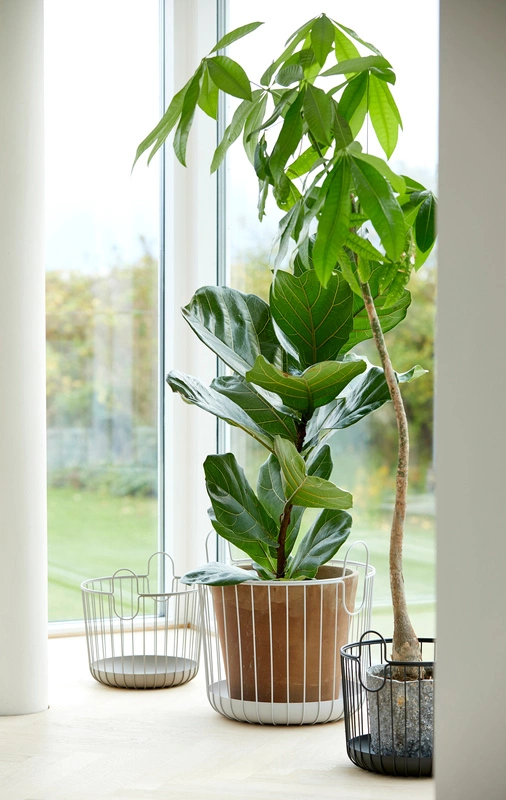 Zone Denmark - Kosz do przechowywania Inu 41 x 41 cm Soft Grey