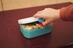 Mepal - Lunchbox Campus Little Farm