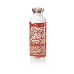 Guzzini - BUTELKA TERMICZNA ON THE GO, 500 ml