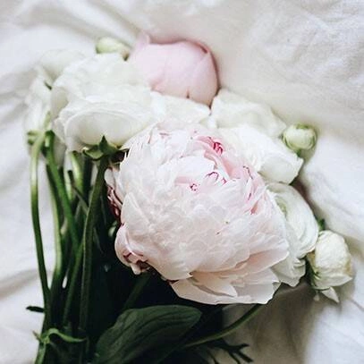 Cereria Molla - Świeca Premium 230 gr. French Linen