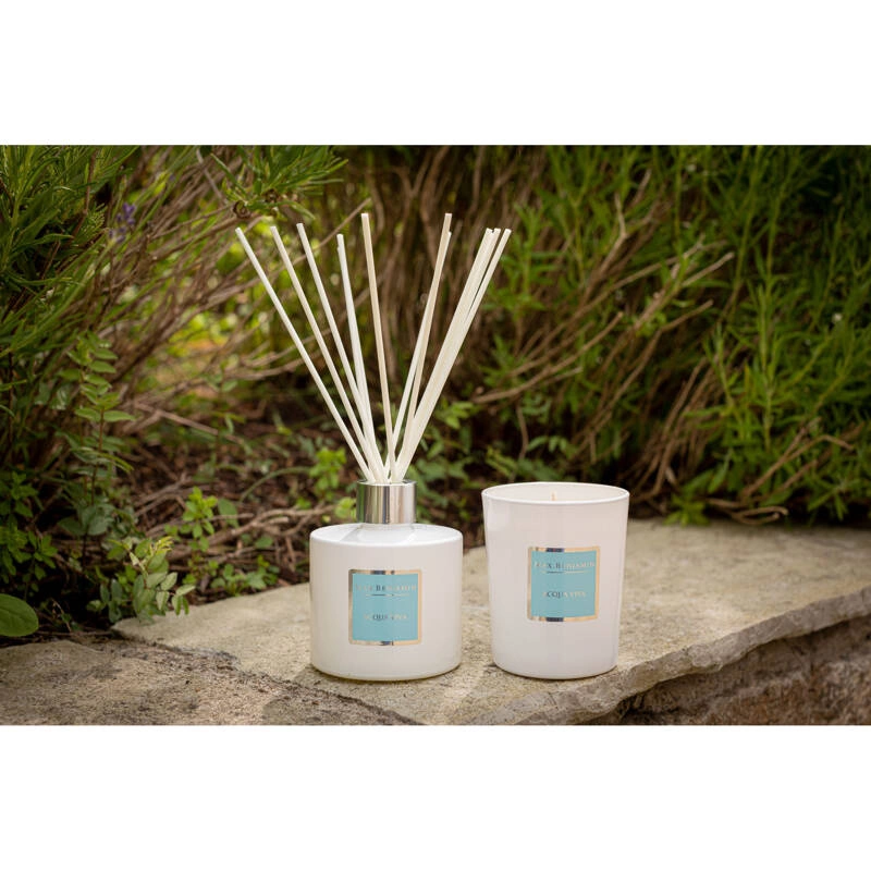 Max Benjamin - Dyfuzor zapachowy 150ml - Acqua Viva Classic