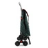 Rolser - Wózek na zakupy I-Max Wild 6L Verde