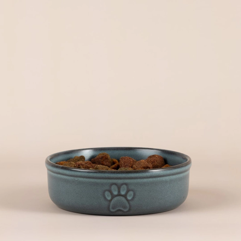 Mason Cash - Miska dla zwierzaka 15cm Reactive Paw