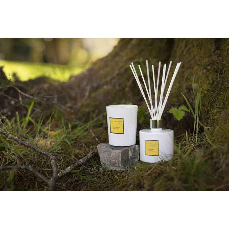 Max Benjamin - Dyfuzor zapachowy 150ml - Grapefruit & Pomelo Classic