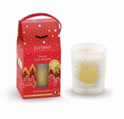 Esteban - Świeca zapachowa 180g. Around the fireplace