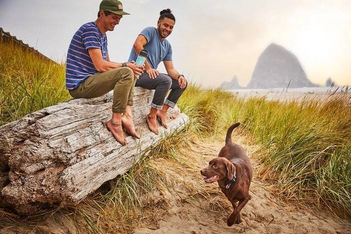 Hydro Flask - Butelka 16oz Wide Flex Sip Lid White