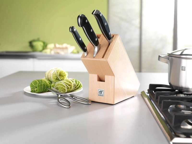 Zwilling - Zestaw 4 noży w drewnianym bloku Professional S