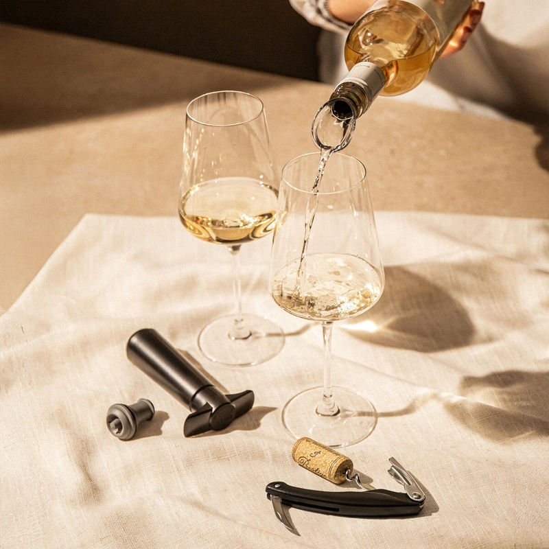 VacuVin - Wine Set Start – zestaw akcesoriów do wina, czarny
