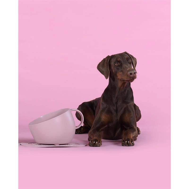 United Pets - Miska dla psa CUP, 2500 ml, różowa