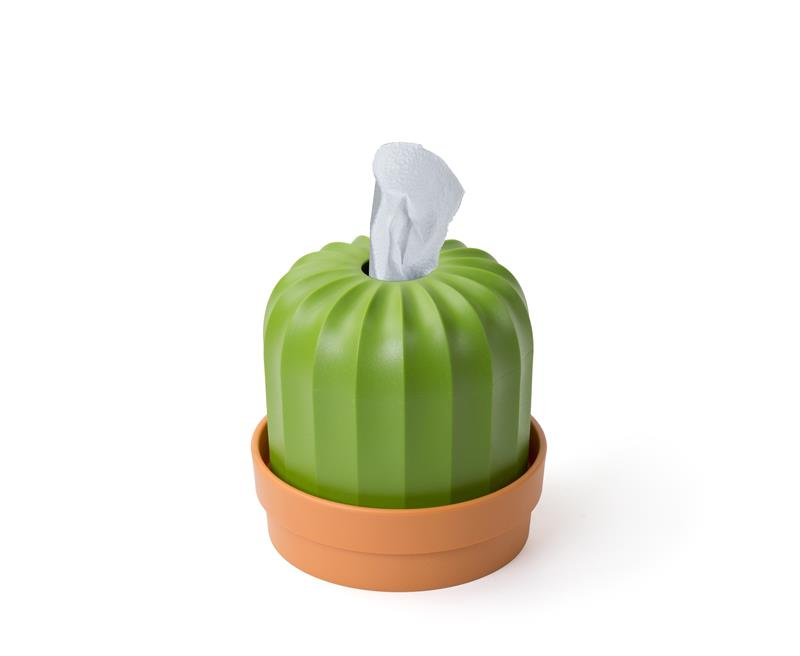 Qualy - Pojemnik na chusteczki i papier Cactiss