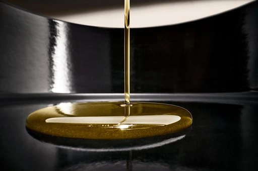 WMF - Rondel 16 cm Fusiontec Function Pro